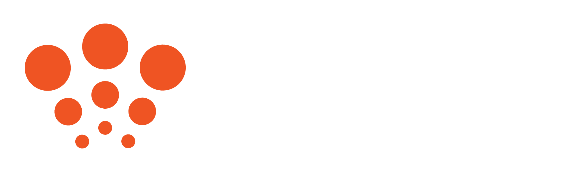 LITE RITE